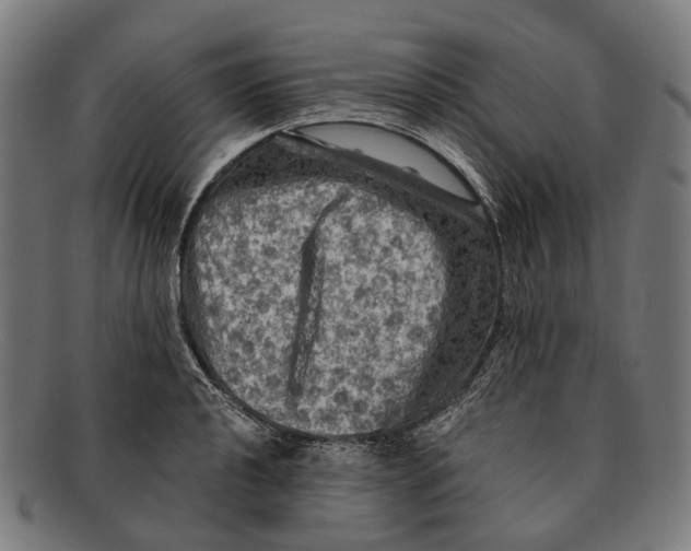 X0000091481040200709131808