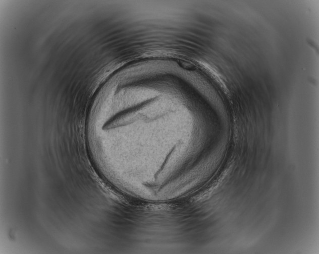 X0000091481041200709131808