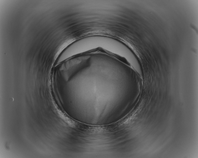 X0000091481042200709131808