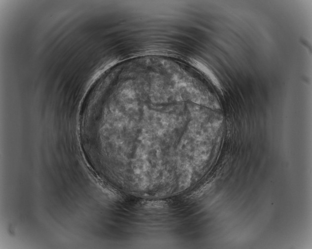 X0000091481043200709131808