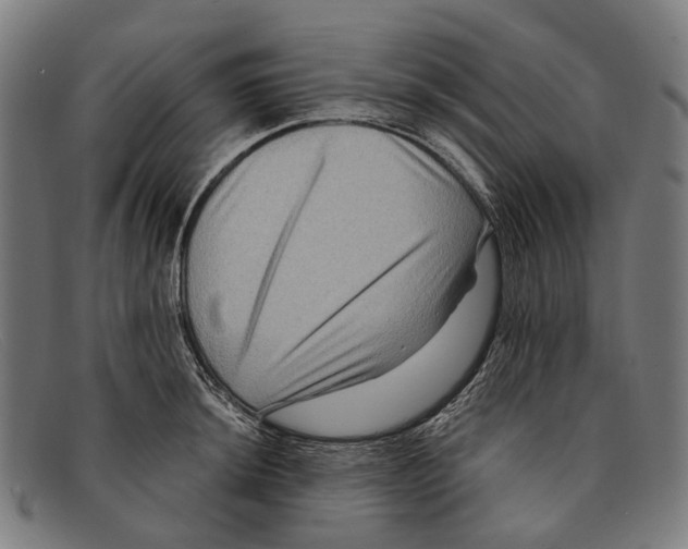 X0000091481044200709131808