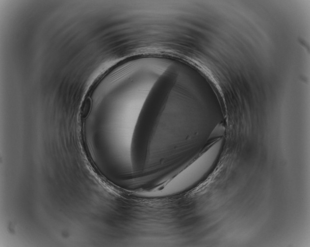 X0000091481045200709131808