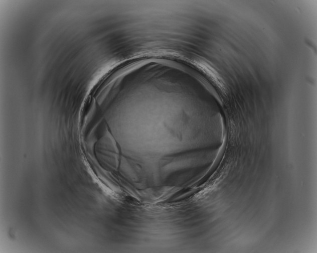 X0000091481046200709131808