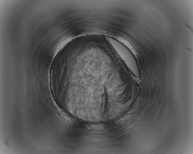 X0000091481047200709131808