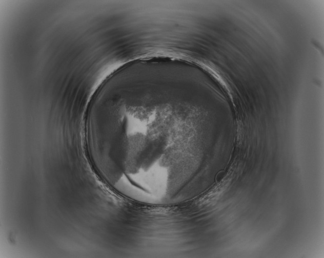 X0000091481048200709131808