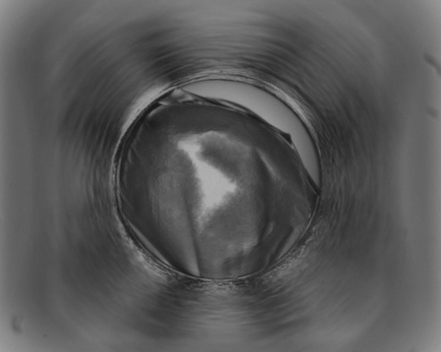 X0000091481050200709131808