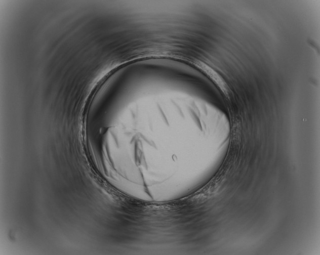 X0000091481051200709131808