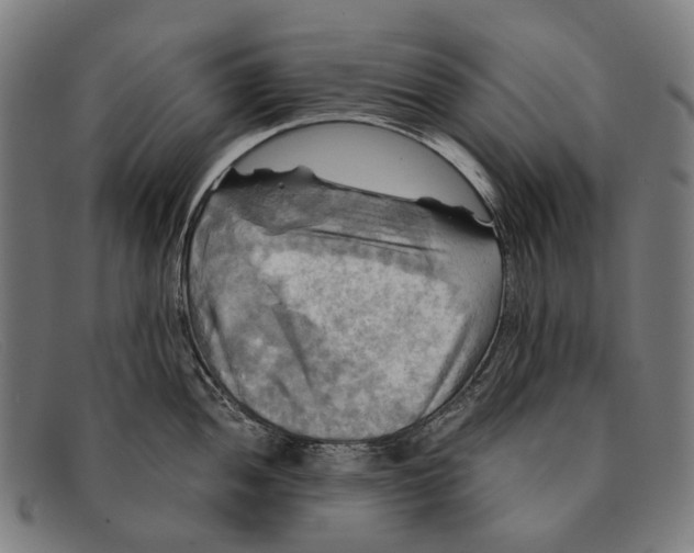 X0000091481052200709131808