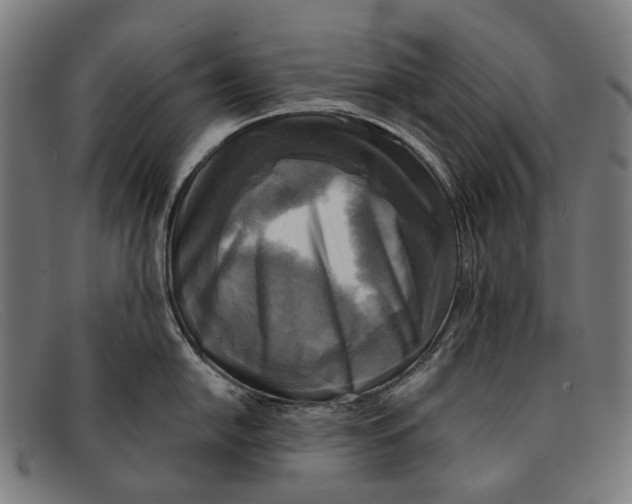 X0000091481054200709131808