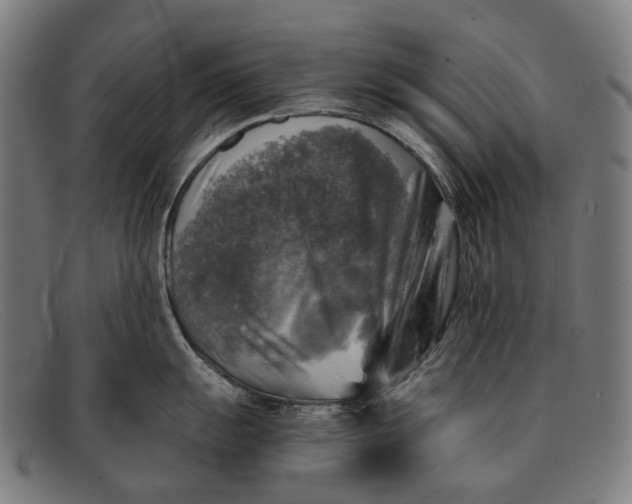 X0000091481055200709131808