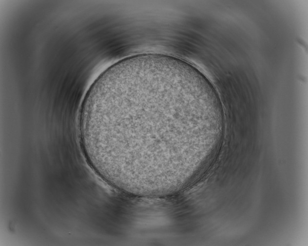 X0000091481056200709131808