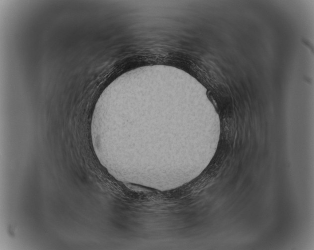 X0000091481057200709131807