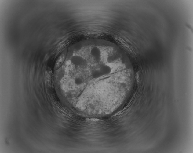 X0000091481059200709131807