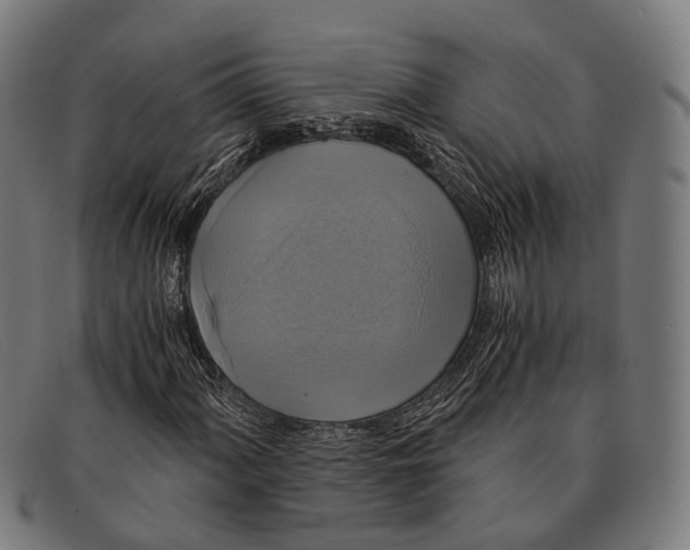 X0000091481060200709131807