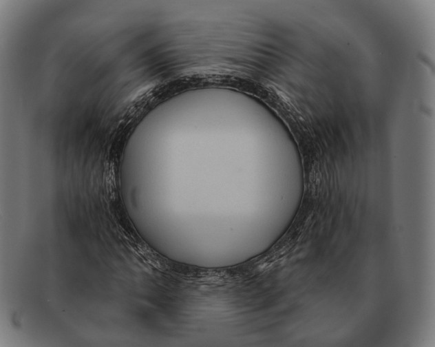 X0000091481062200709131807