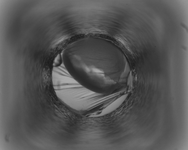 X0000091481063200709131807