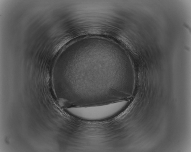 X0000091481065200709131807