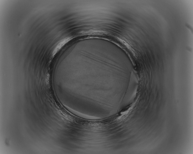 X0000091481066200709131807