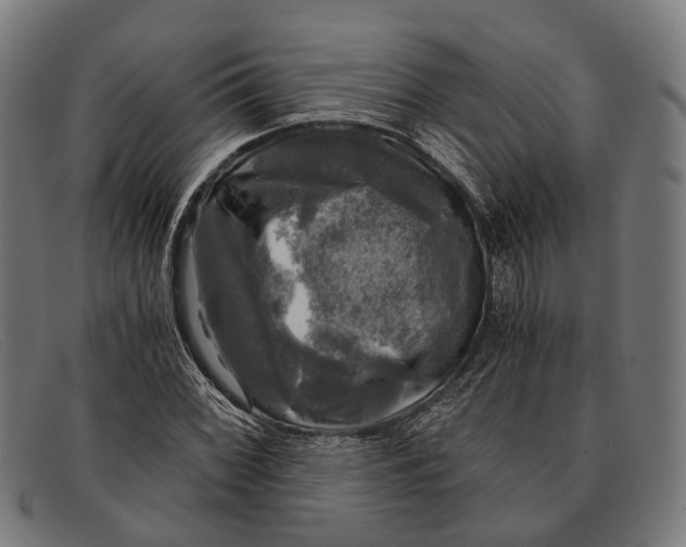 X0000091481068200709131807