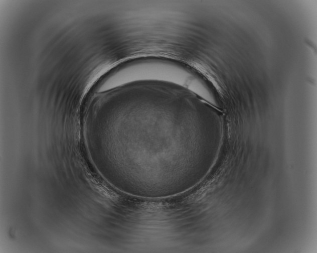 X0000091481069200709131807