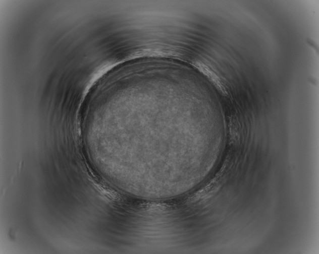 X0000091481070200709131807