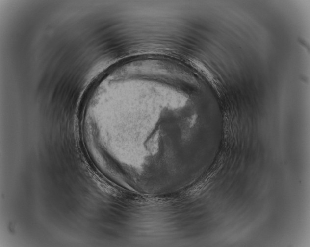 X0000091481072200709131807