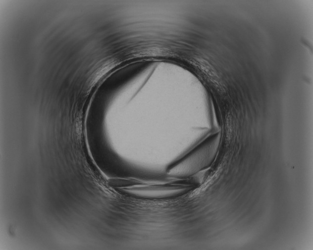 X0000091481073200709131807