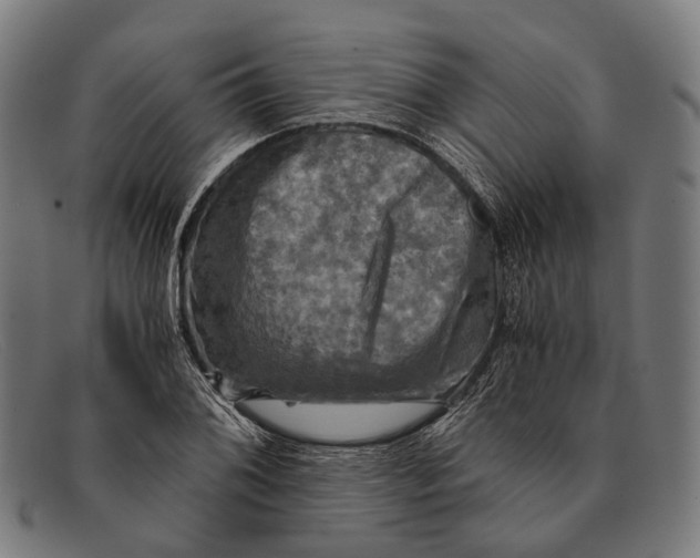 X0000091481076200709131807