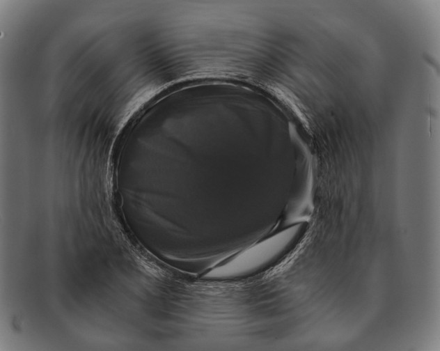 X0000091481077200709131807