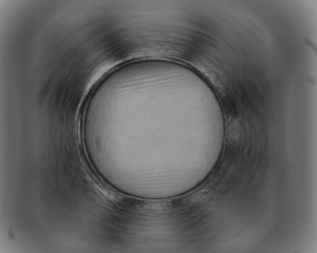 X0000091481078200709131807