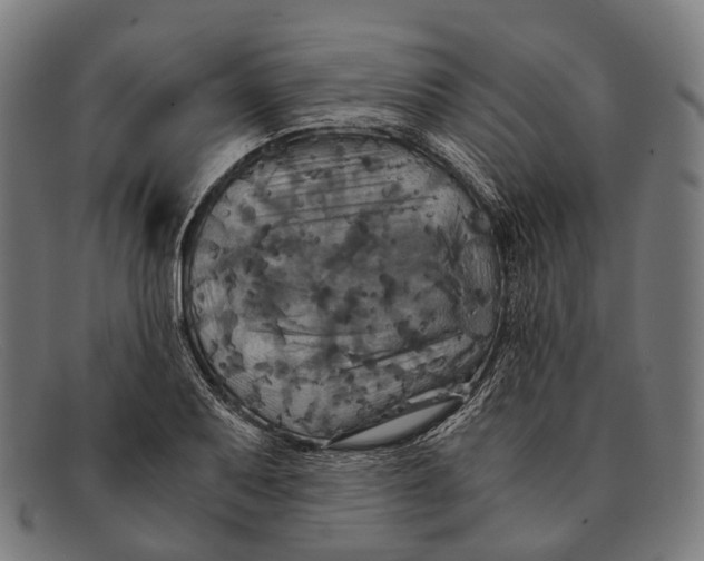 X0000091481079200709131807