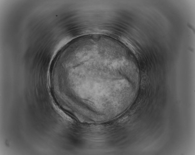 X0000091481080200709131807