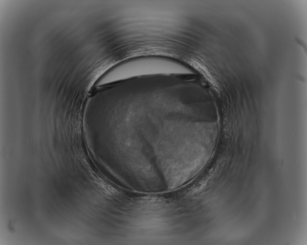 X0000091481081200709131807