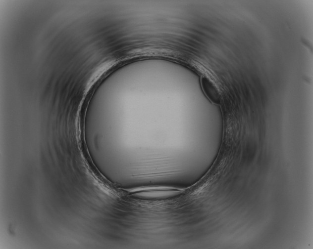 X0000091481082200709131807