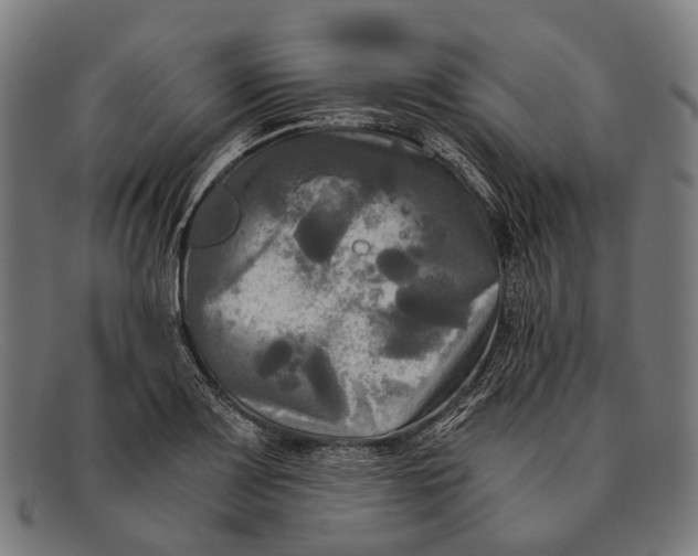 X0000091481083200709131807