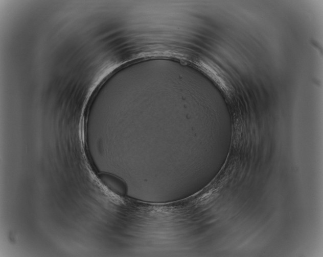 X0000091481084200709131807