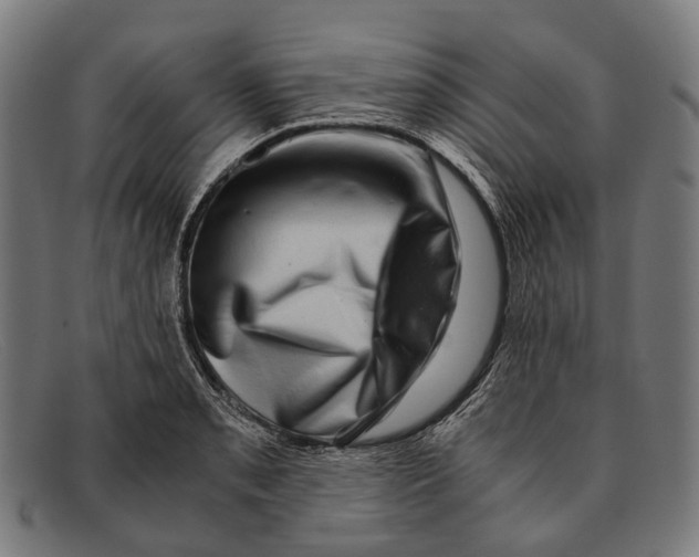 X0000091481085200709131807