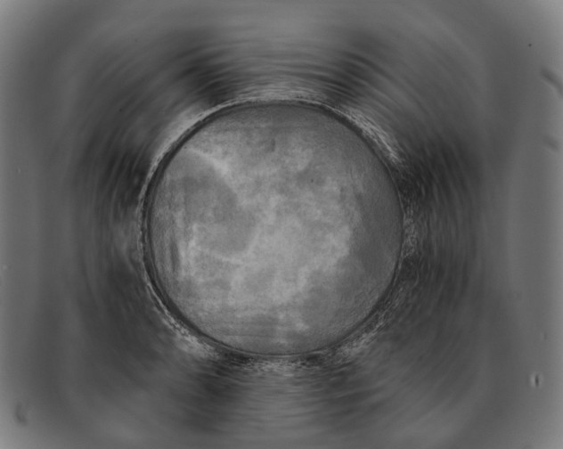 X0000091481086200709131807