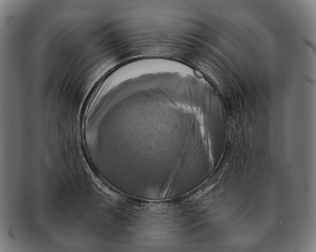 X0000091481087200709131807