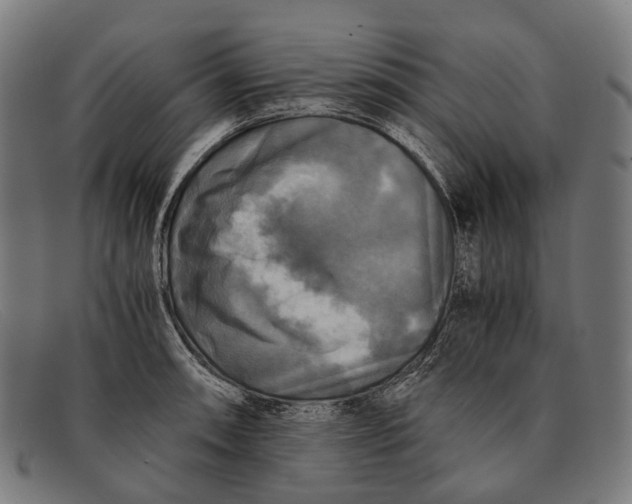 X0000091481090200709131807