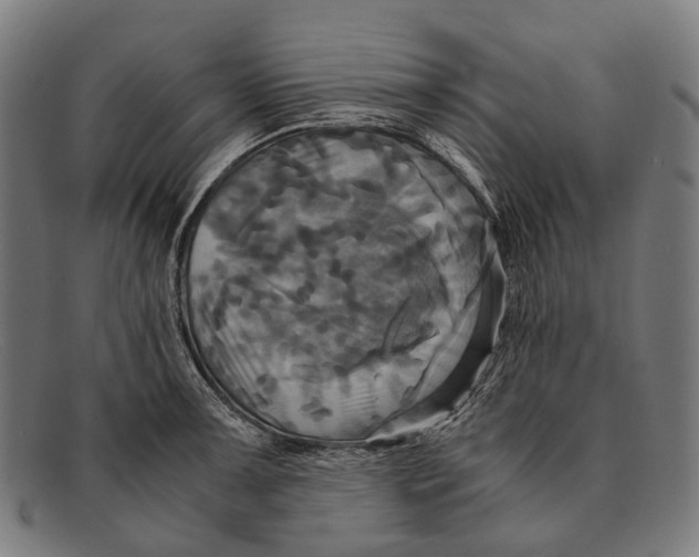 X0000091481091200709131807