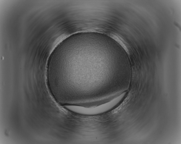 X0000091481093200709131807