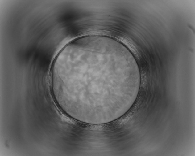 X0000091481094200709131807