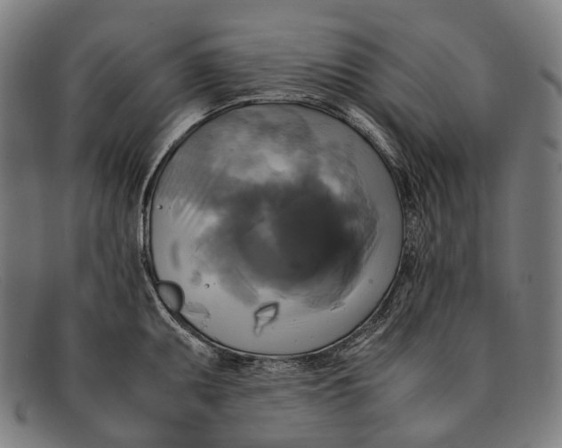 X0000091481095200709131807