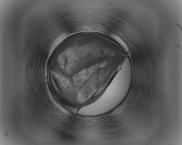 X0000091481096200709131807