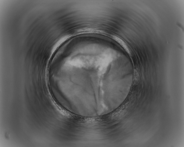 X0000091481098200709131807