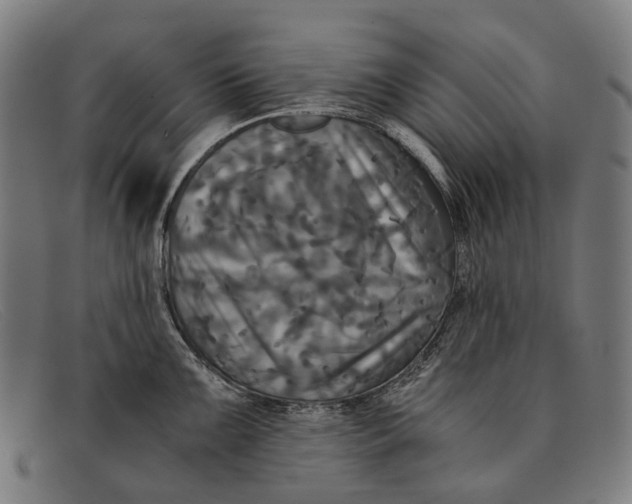 X0000091481099200709131807