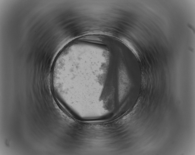 X0000091481100200709131807