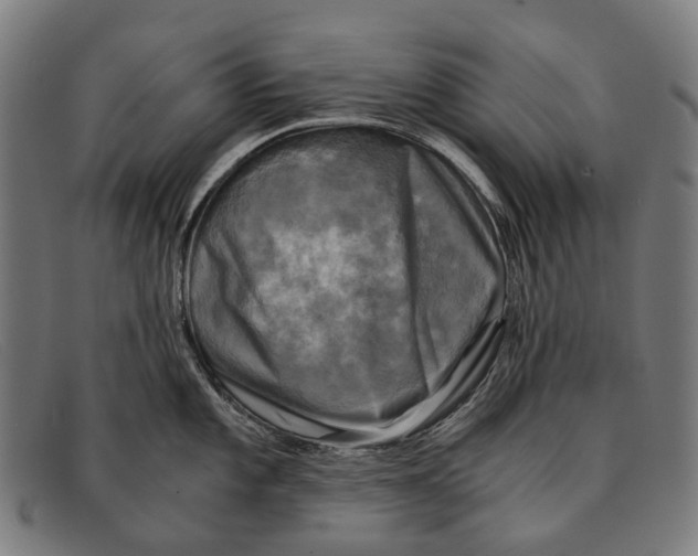 X0000091481101200709131807