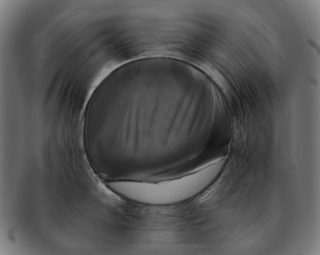 X0000091481102200709131807